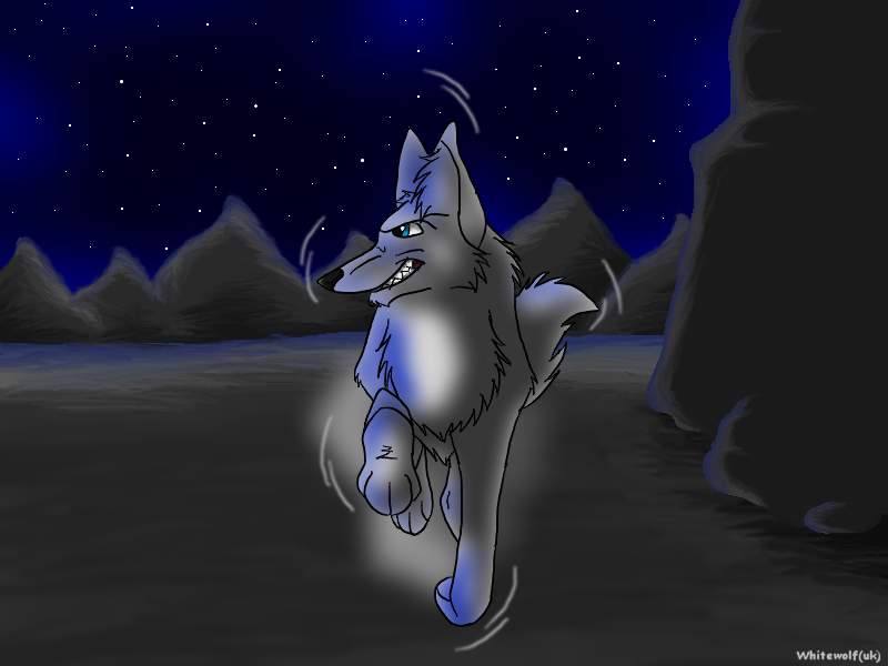 Night runner