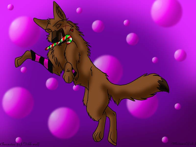Tibby loves candy