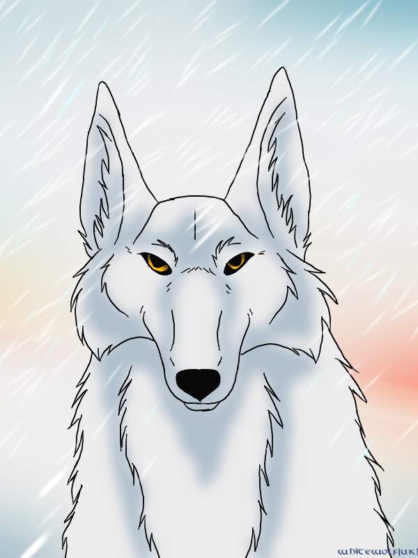 Realistic Aniu