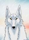 Realistic Aniu
