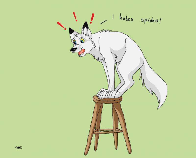 I hates spiders!!