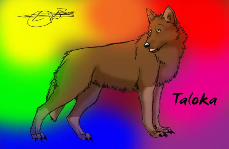 Random charrie Taloka