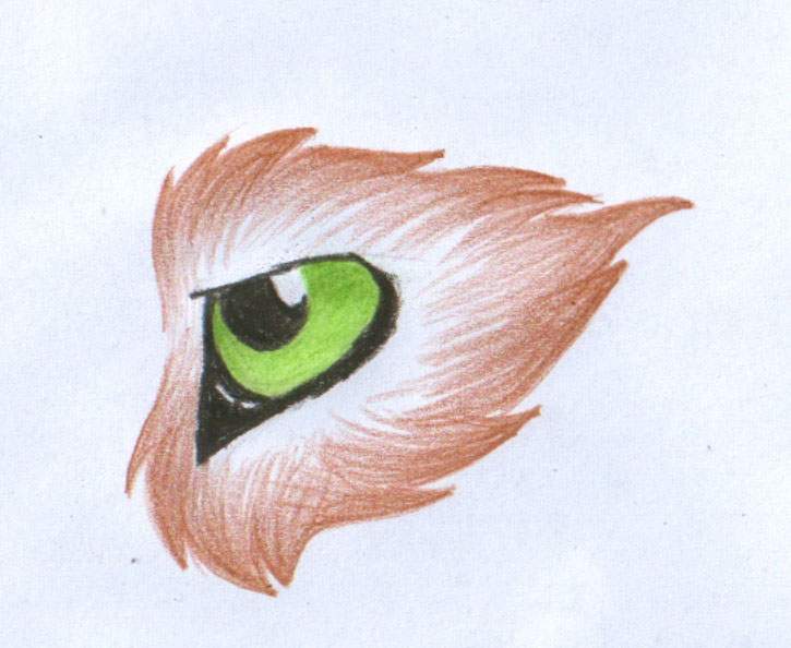 Wolf eye tattoo