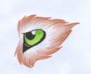 Wolf eye tattoo