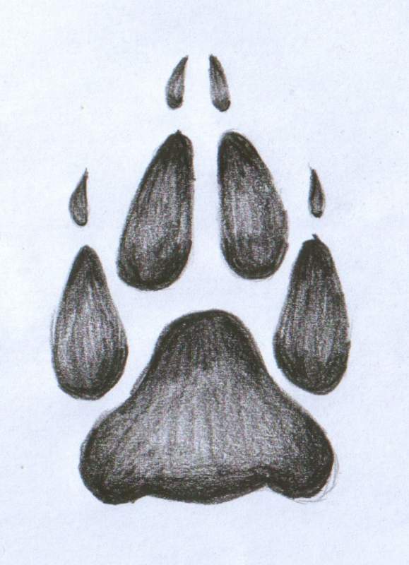 Wolf paw tattoo