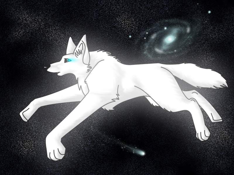 .: Star Dancer :.