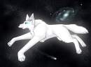 .: Star Dancer :.