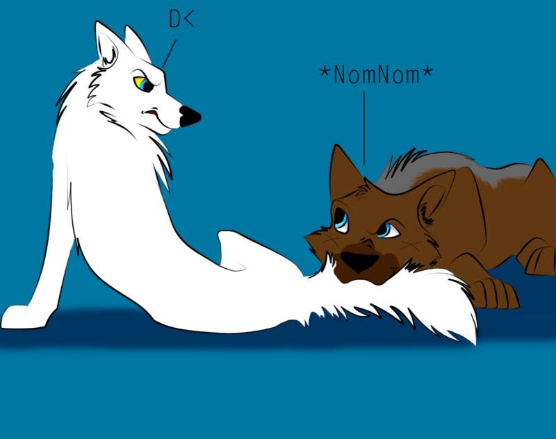nomnom