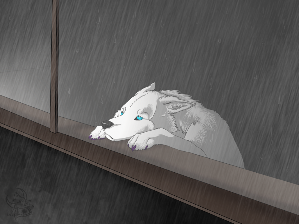 Rainy day