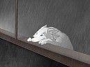 Rainy day