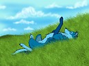 Bluewolf gift