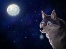 Star keeper