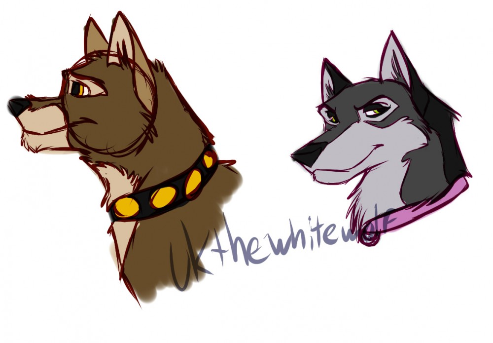 New characters