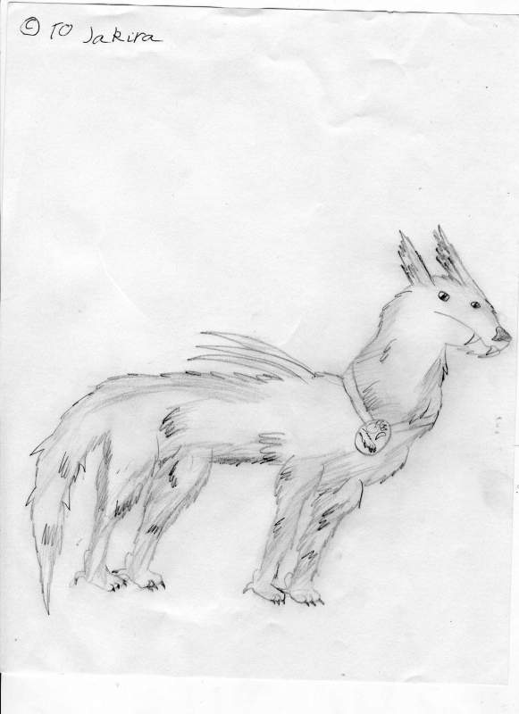 Jakira, the Wolartix