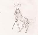 	Siena 