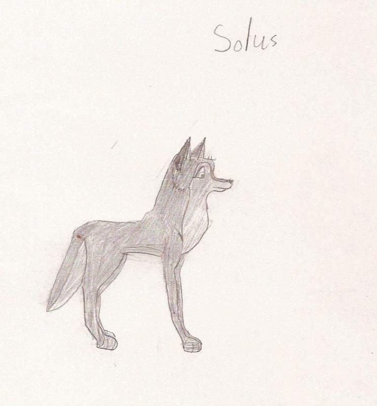 Solus