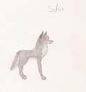 Solus