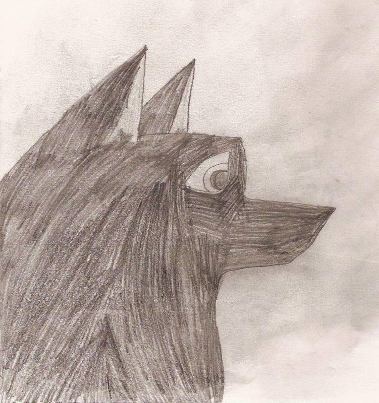 Black Wolf
