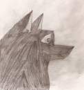 Black Wolf