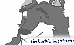 TimberWolvesofHeavan