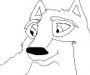 Aniu