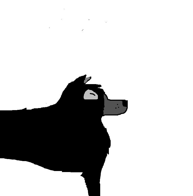 Black Shadow