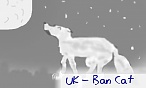 WhiteWolf--(WSP)