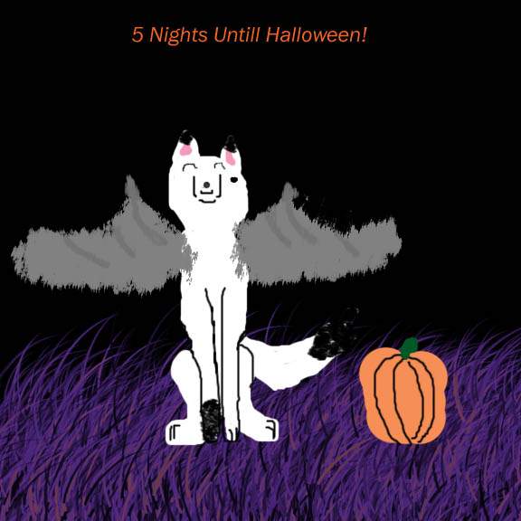 5 nights
