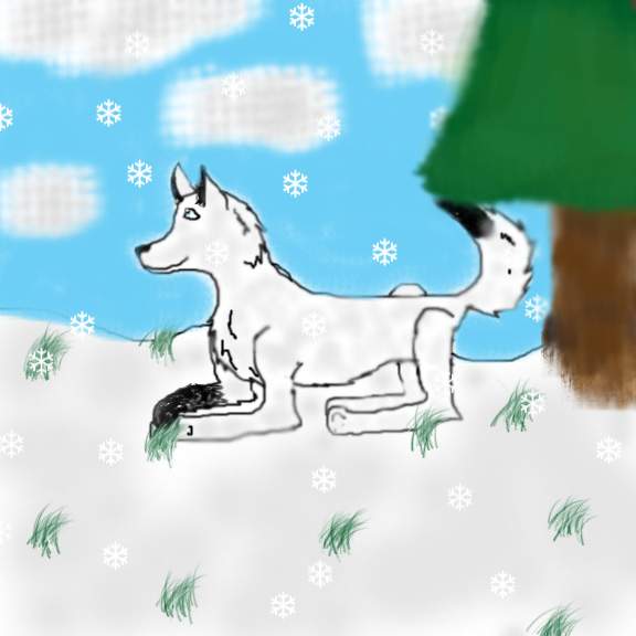 Under the Tree