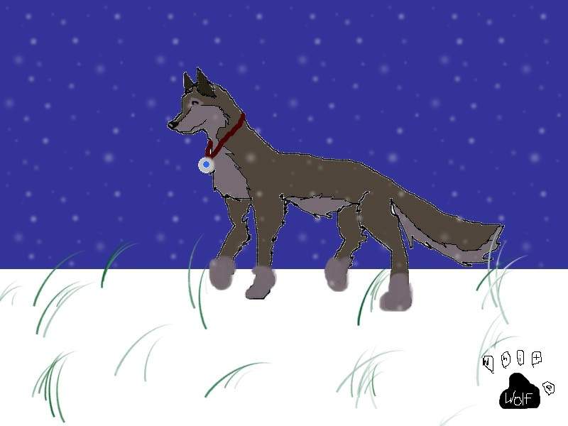 Balto