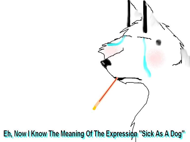 Sick As A Dog