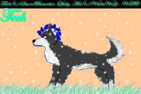 Tech, For SnowBoarder-Doby