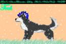Tech, For SnowBoarder-Doby