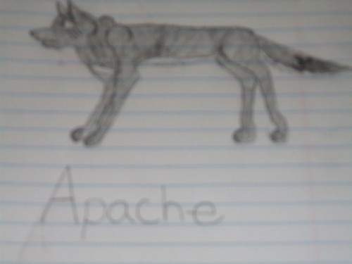 Apache