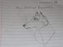 Aniu attempt