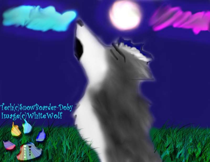 Tech's Mid-night Howl