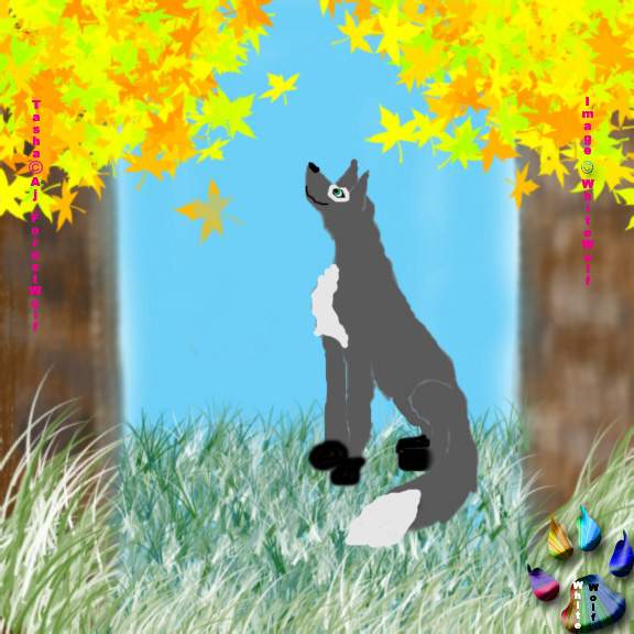 Trade With AJ_ForestWolf