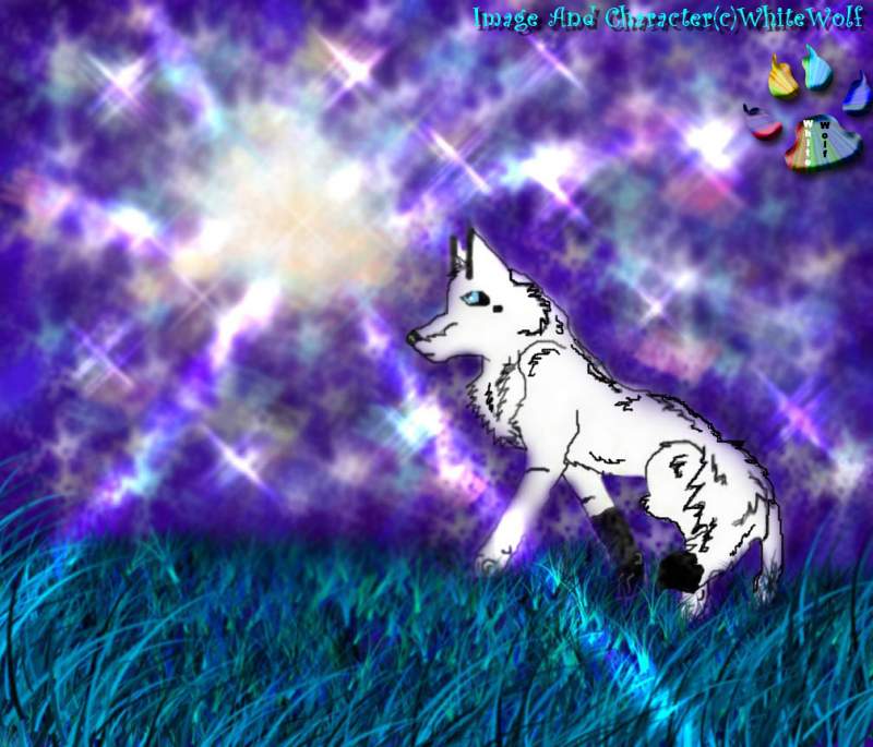 Walking Along The Night-Sky