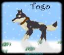 Attempt Of Real Togo