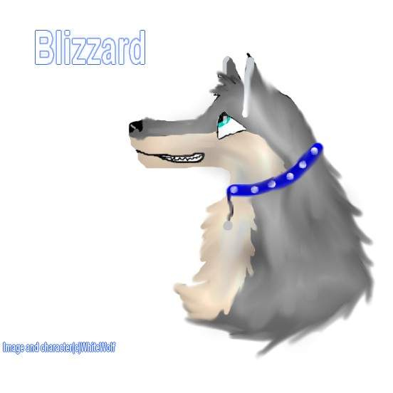 Blizzard Headshot