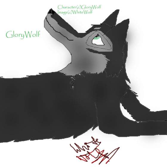 Request From GloryWolf(Aride TWT)