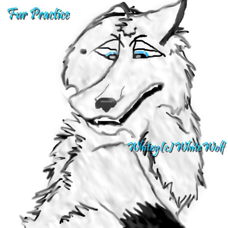 Fur Practice