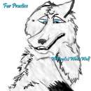 Fur Practice