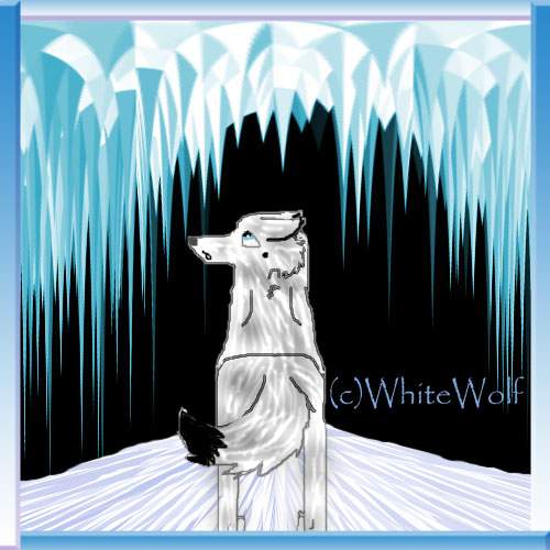 What Awaits you?