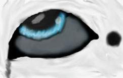 Whitey Eye THinger