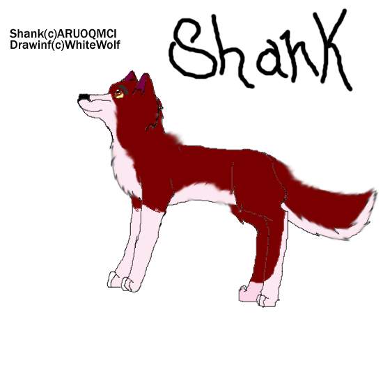 Shank