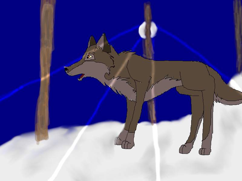 Balto