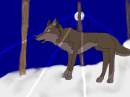 Balto