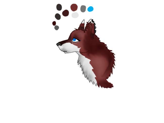 Galaxy Headshot