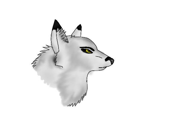 Aniu Headshot-PS